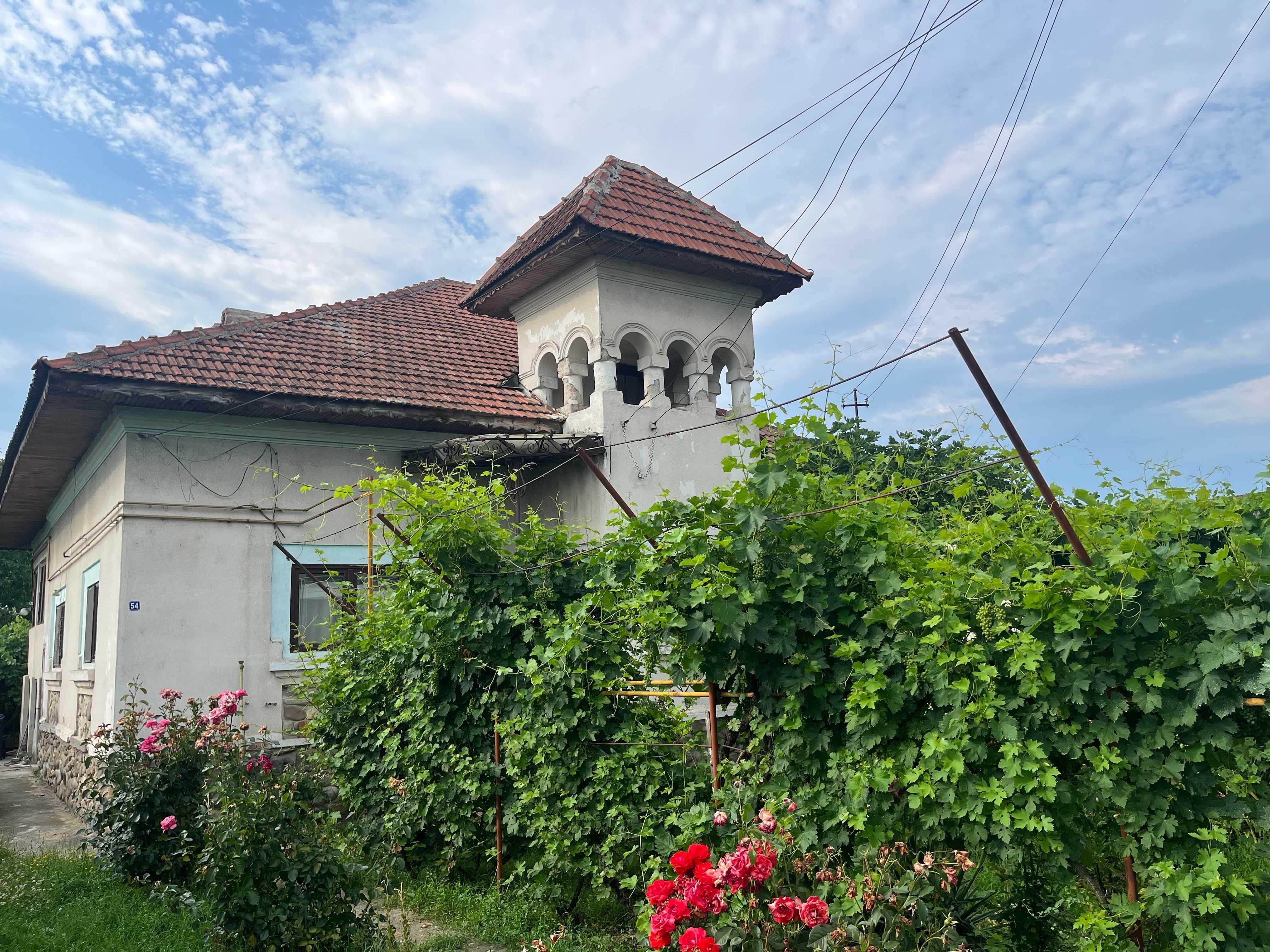 Casa deosebita de vanzare Calea Severinului