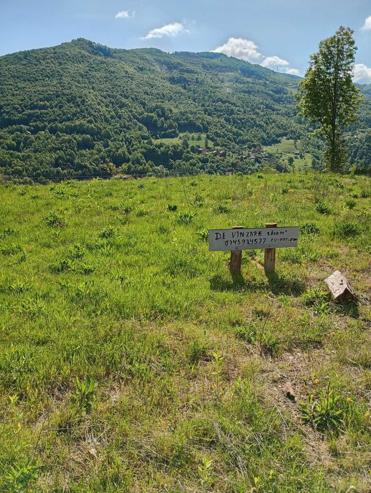 Vand teren Somesul Rece-Muntele Paltinei