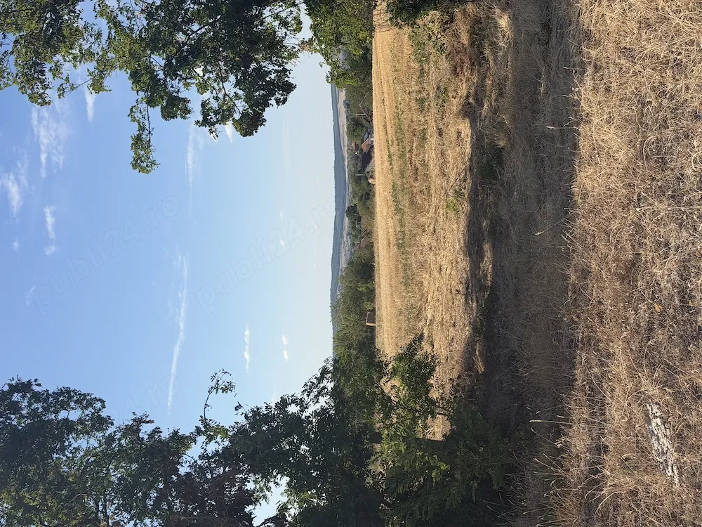 Teren intravilan 2.700 mp, Săcădat, panoramă, utilități, 25 m front