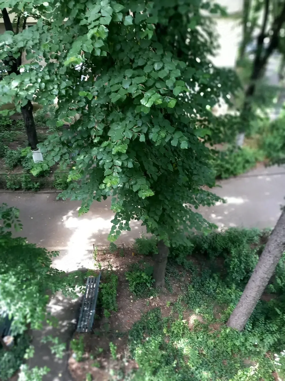 Apartament 2 camere decomandat , zona  verde  fara  trafic auto, la 2 pasi de bulevard.si de b - imagine 1