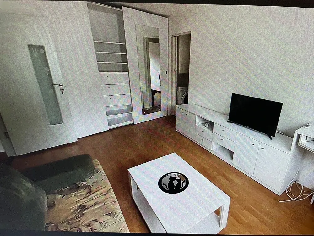 Inchiriez apartament 2 camere, Calea Romanilor(zona Boul Rosu),
