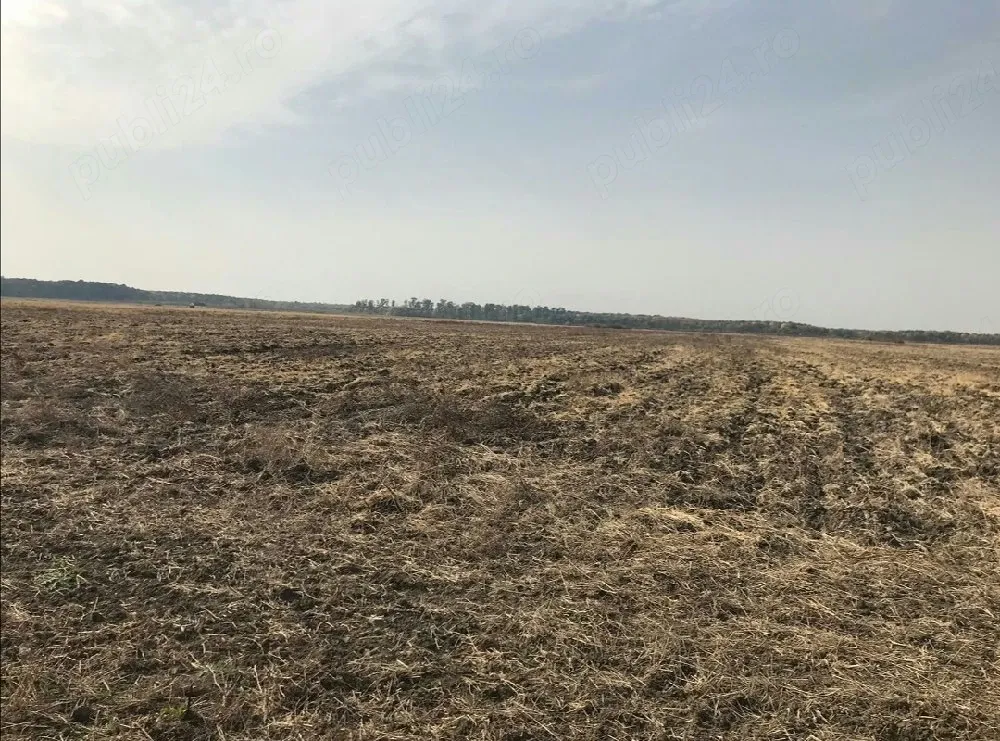 Vând 1,04 Ha Teren Agricol Arad (Santoma)   Lângă Autostrada A1