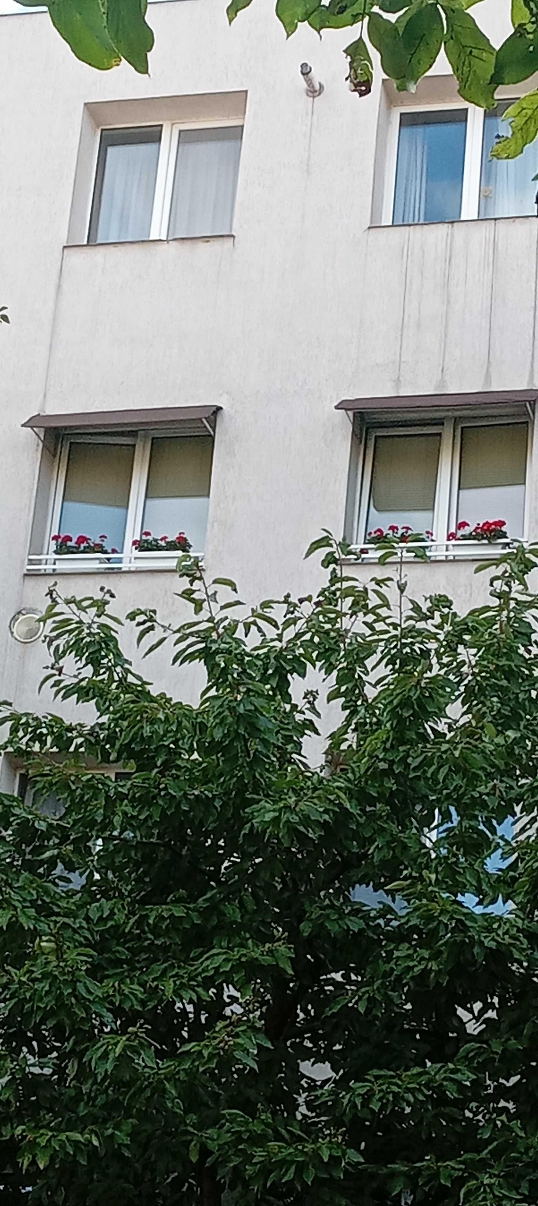 Vand apartament doua camere