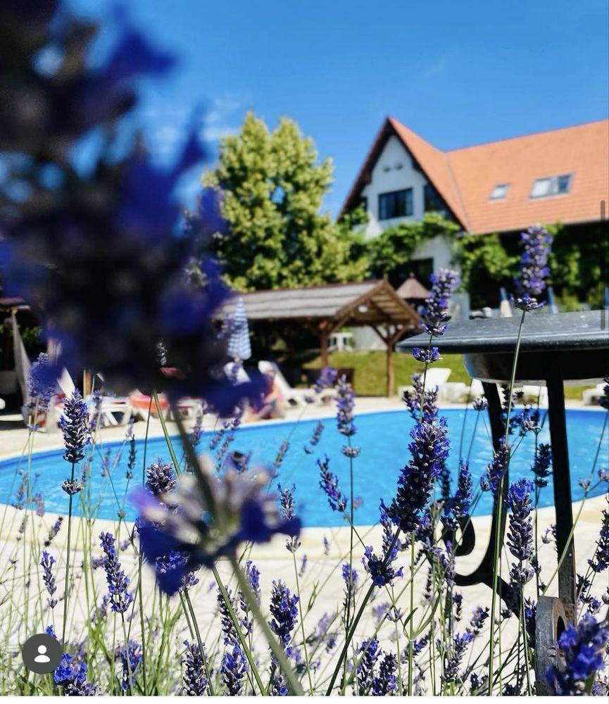 Vila Premium Cu Deschidere Directa La LAC | 2.200 Mp Teren | Paleu, Oradea