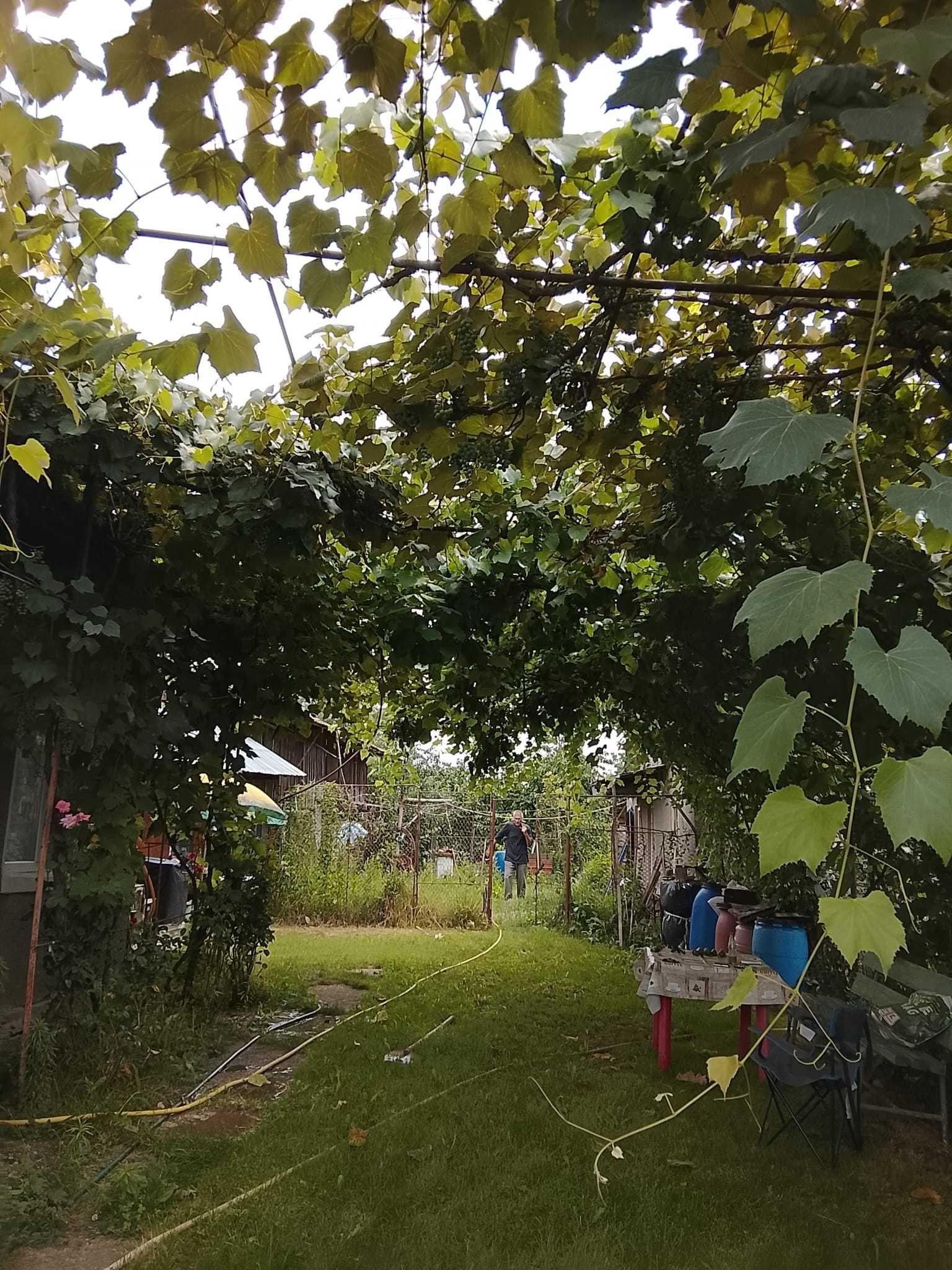 Vand Casa localitate Ghimpati