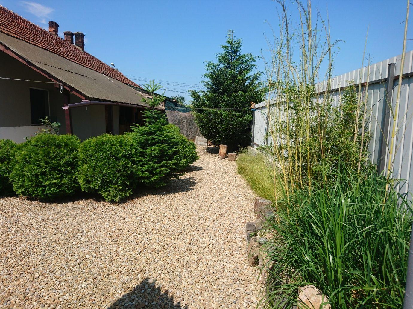 Apartament, casa, sediu firma, cu teren proprietate.