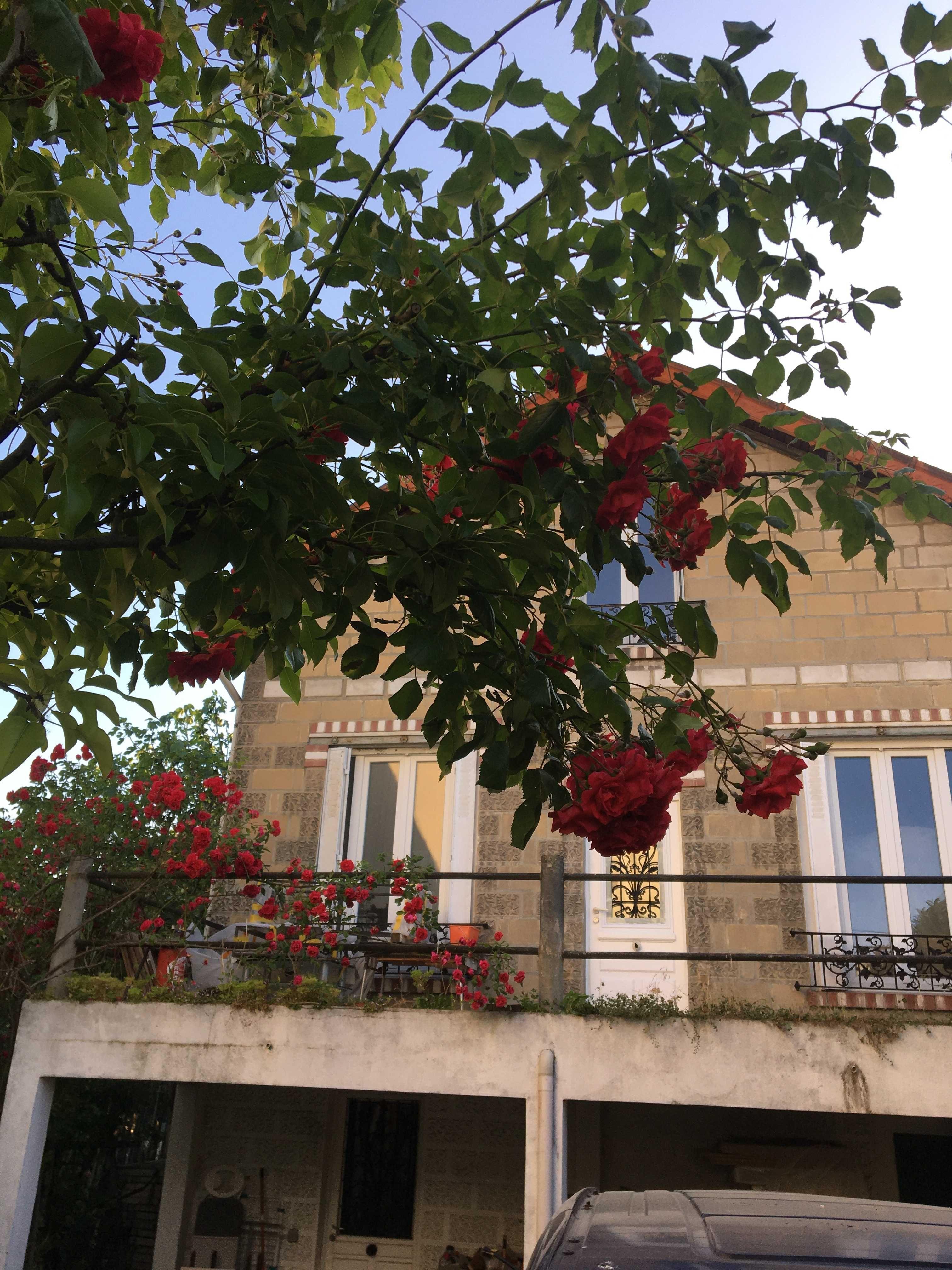 Vanzare casa Paris Franta - 126,98 mp - 610000 Euro , parter, etaj si mansarda