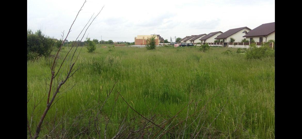Teren 1500mp Domnești, Str. Ghioceilor, Deschidere 43m – Toate utilitățile, Ideal Proiect Case / Duplex - imagine 1