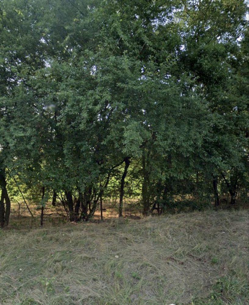 Teren de Vanzare Snagov