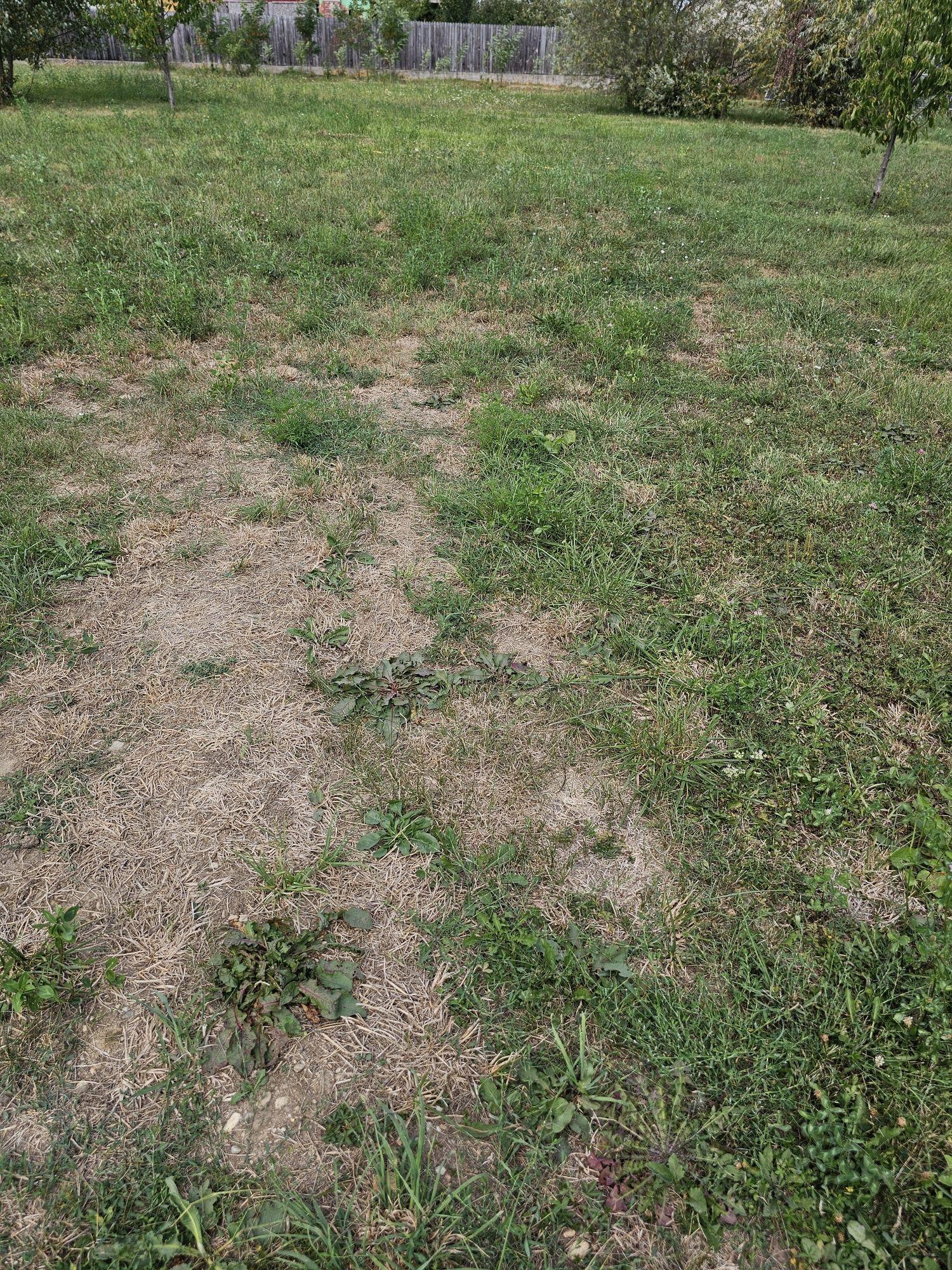 Teren intravilan ,  Pitesti , Trivale , Str. Campului - imagine 1