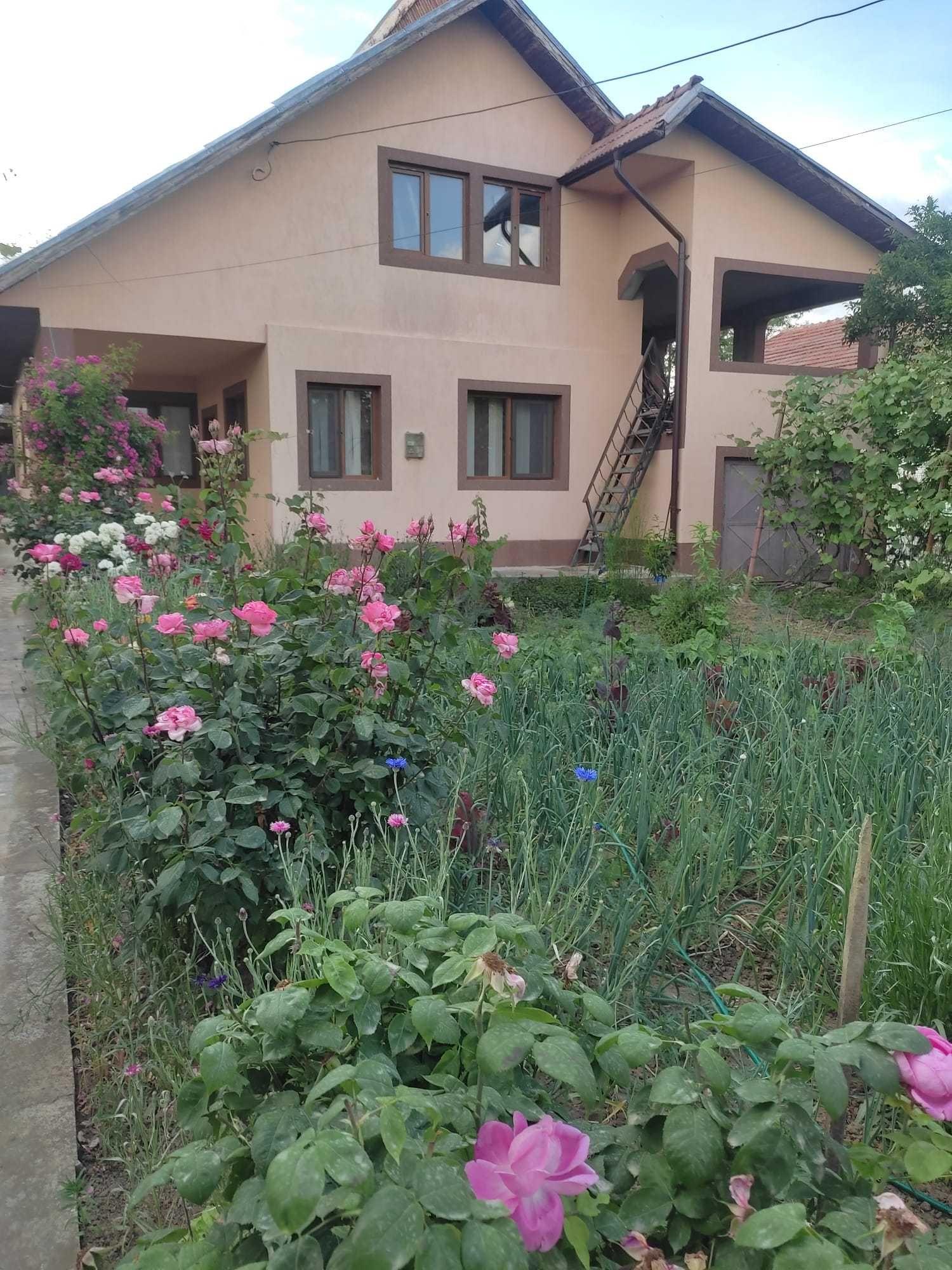 Proprietate deosebită / Casă de vacanță în Pârscov, Buzău – 213 mp utili, teren 1068 mp, livadă și anexe - imagine 1