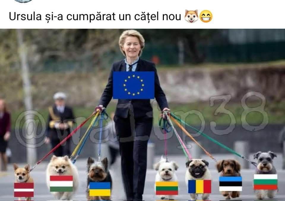 Camera de închiriat