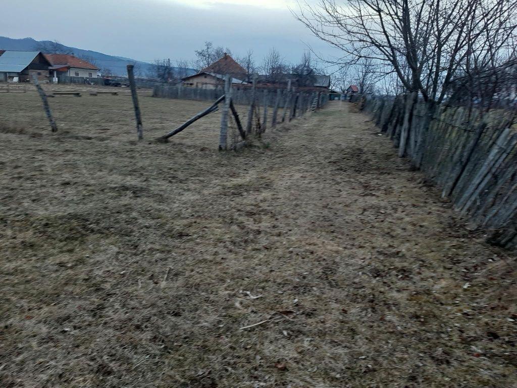 Teren extravilan