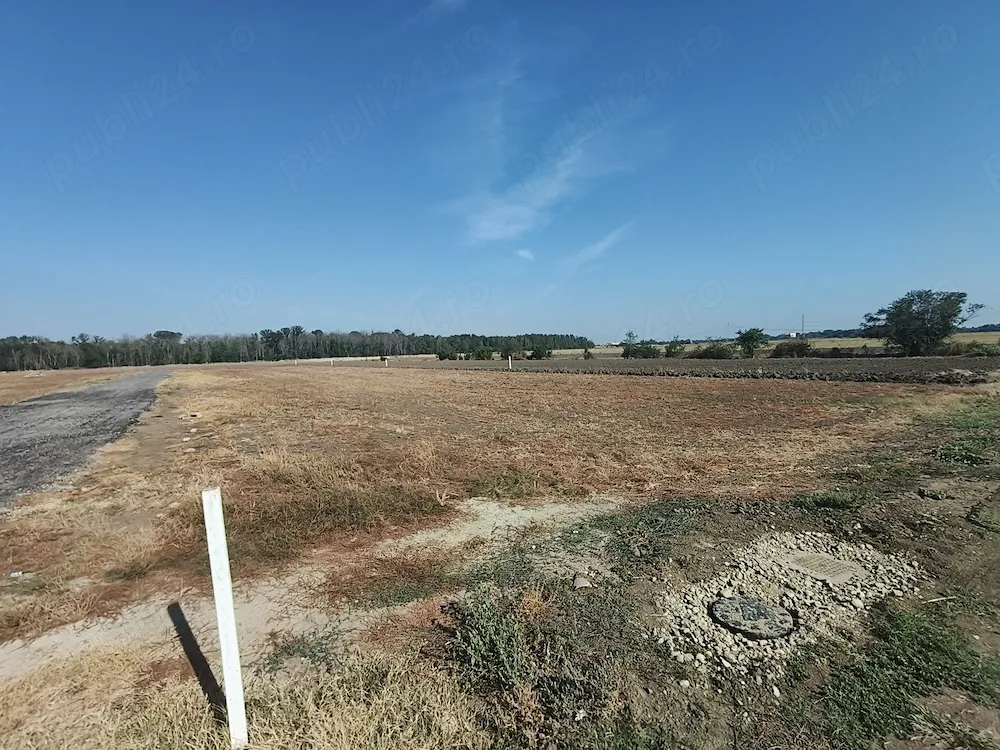 Teren Magurele, localitatea Pruni intravilan - imagine 1