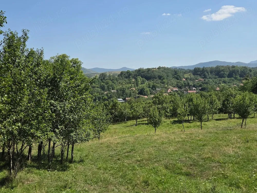 Teren intravilan de vânzare   Cacova Ierii, județul Cluj - imagine 1