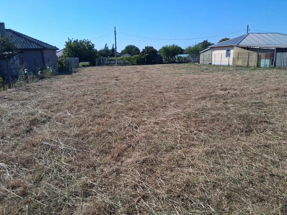 Teren Intravilan 1.054 mp   Ciocârlia de Sus, Jud. Constanța (Str. Ion Creangă)