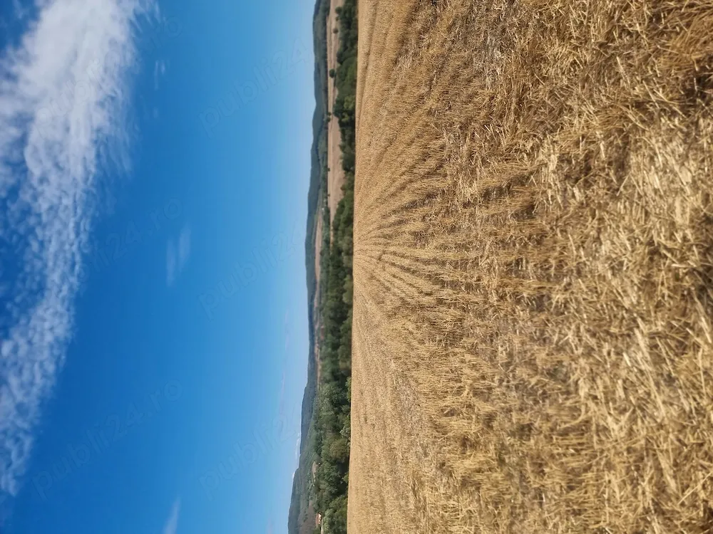 Teren intravilan 5100 mp . 35 km Oradea - imagine 1