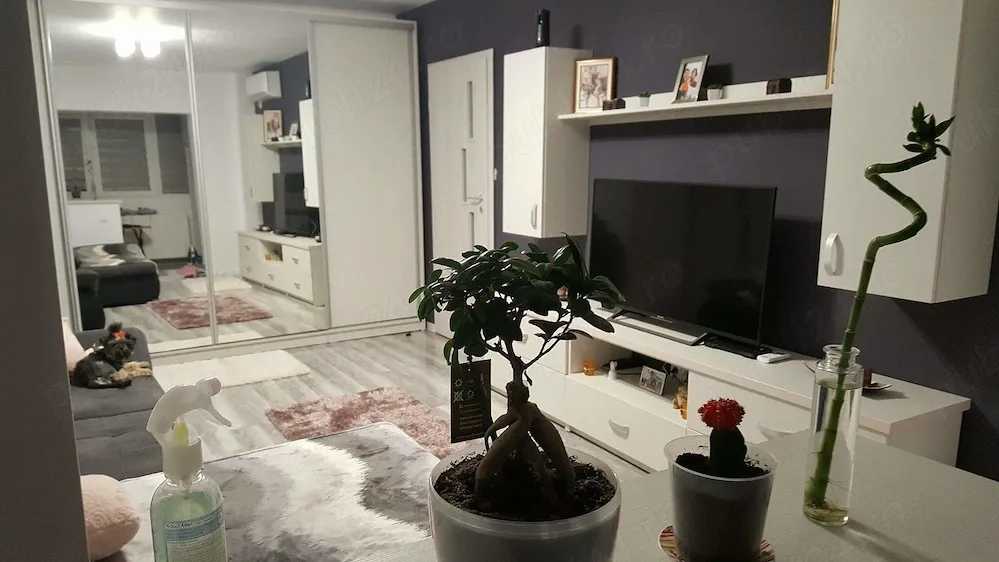 2 camere Gorjului 400euro