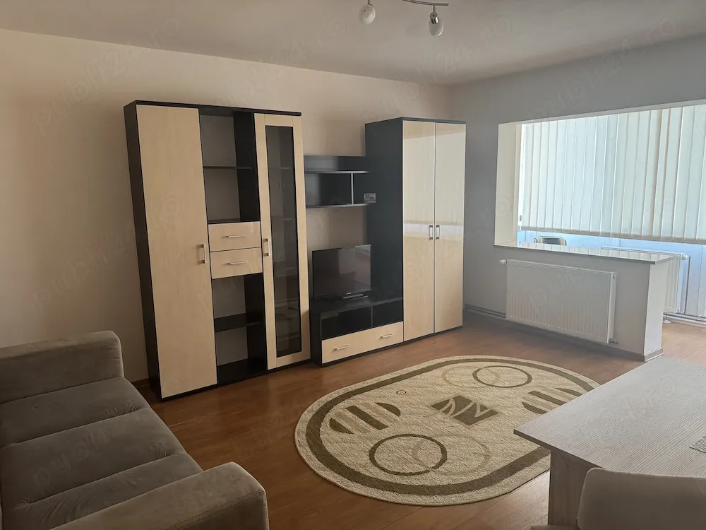 Apartament 1 camera, Miorita