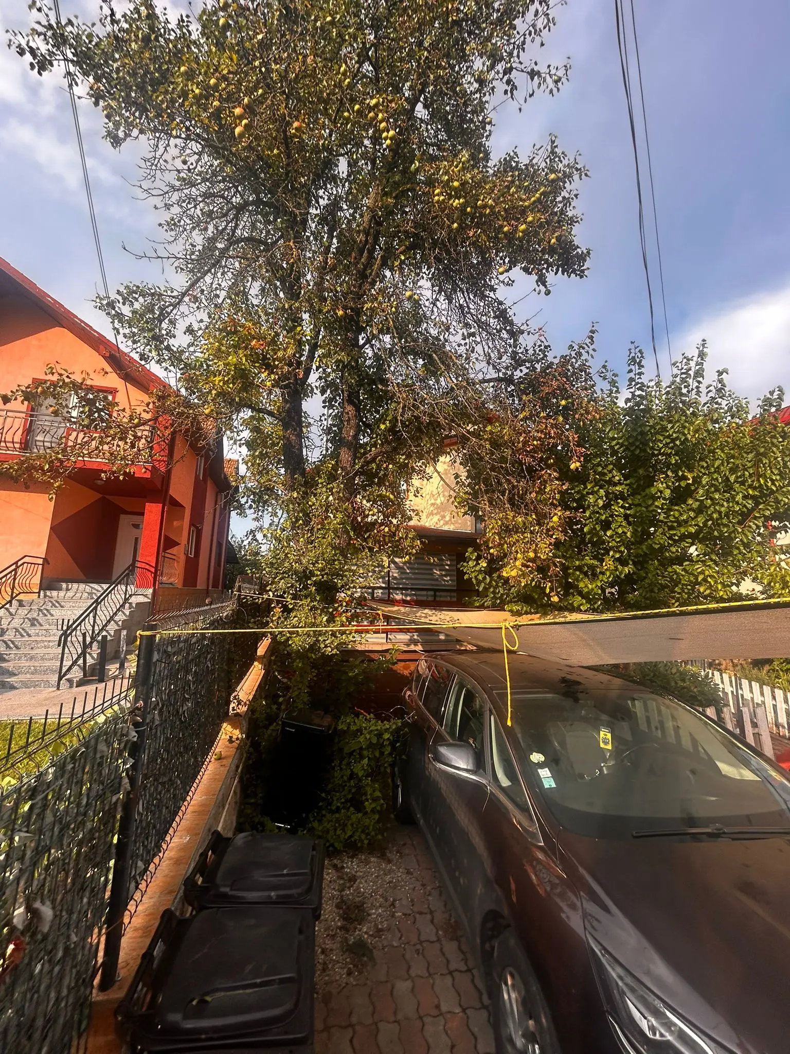 Casa Dambu rotund - imagine 1