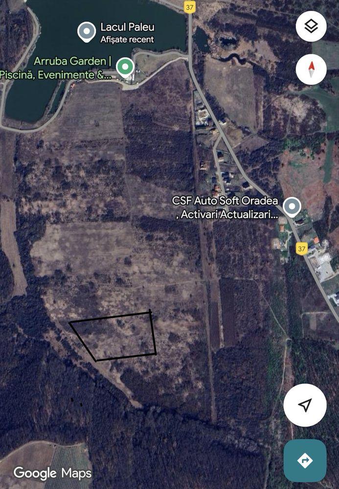 Teren Intravilan Paleu / 9800 mp2 / Investitie/ langa lac