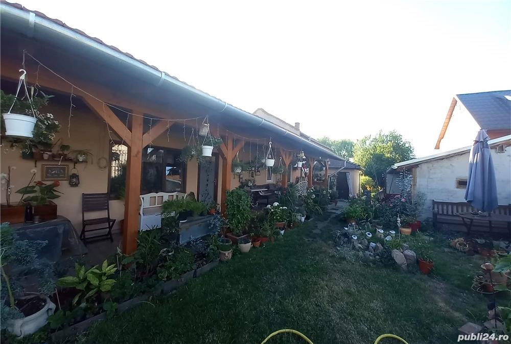 Casa renovata   Zona Lotus