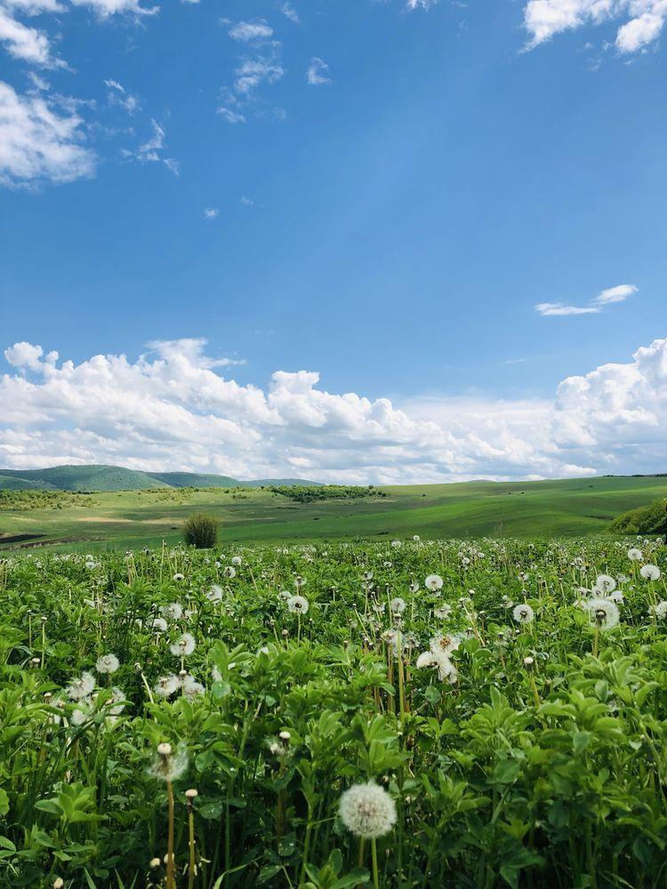 Teren agricol 12 ha parcelat | loturi 0,14-1 ha