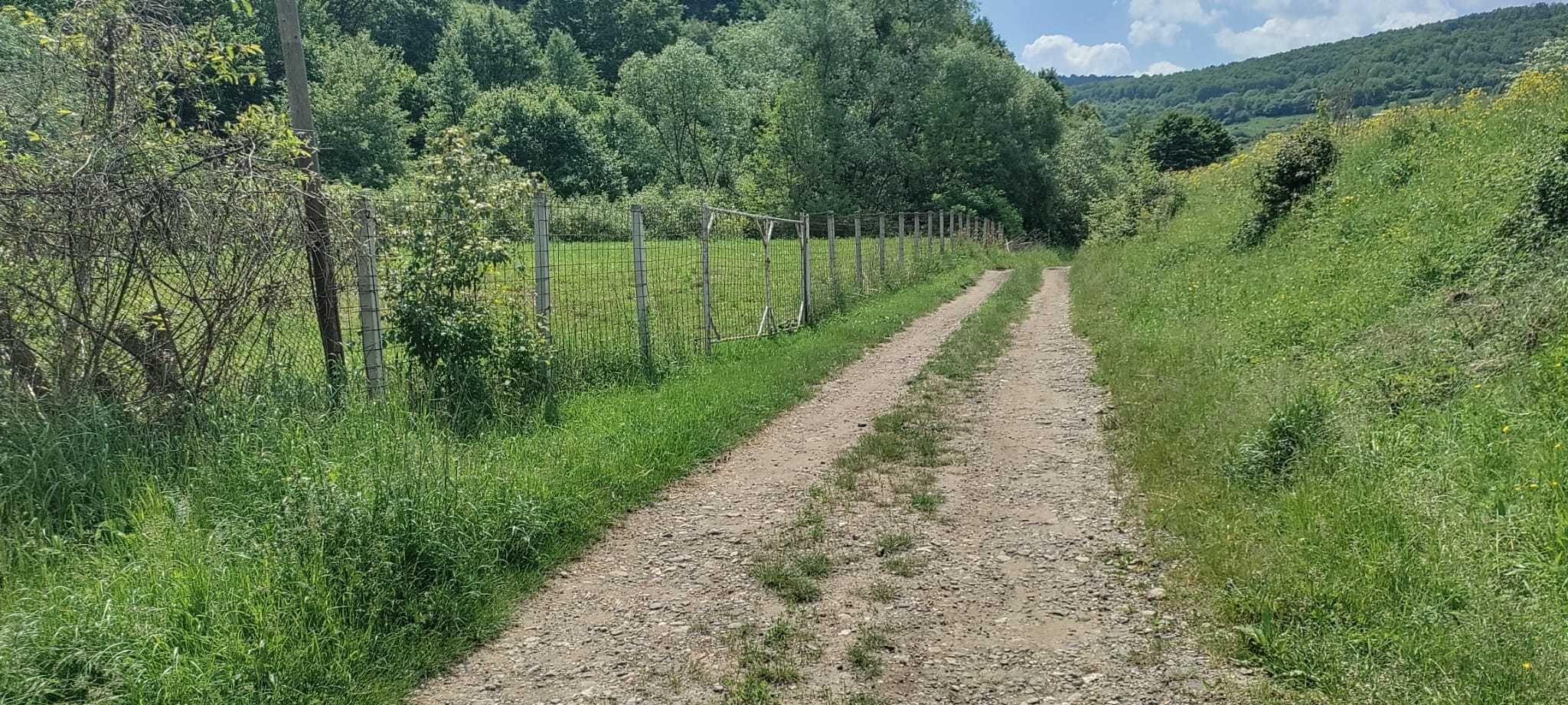 850 mp,plan,imprejmuit,CF,front la drum public cu latime de 7m - imagine 1