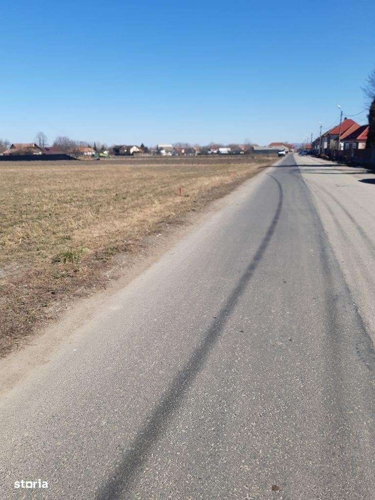 Teren intravilan construibil utilitati asfalt central Lunca Calnicului