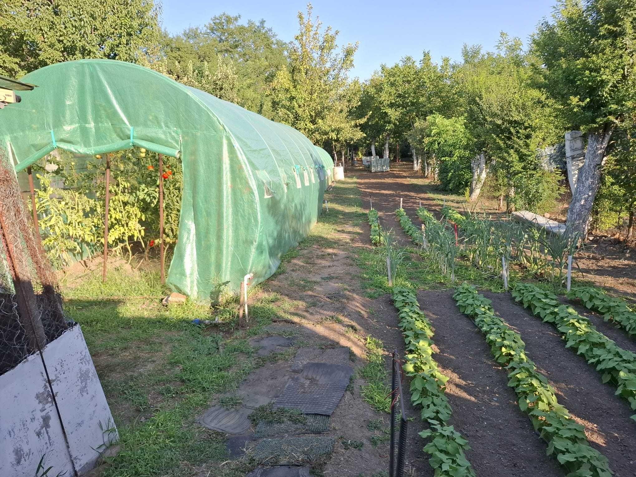 Vând casă din cărămidă renovată (2025) sector 1 bucuresti