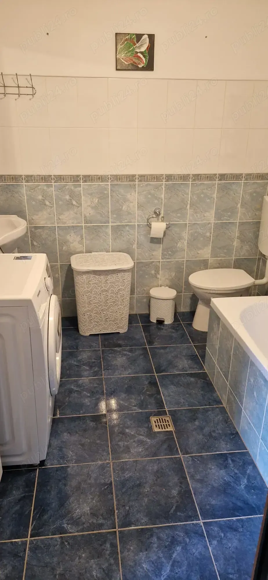 casa sigur curte