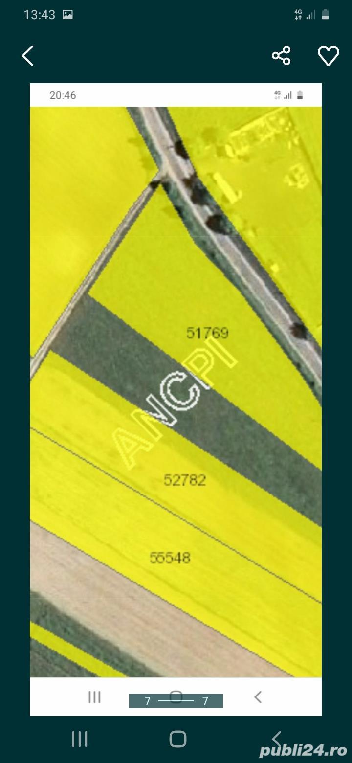 Teren 3800m2 Ciurila