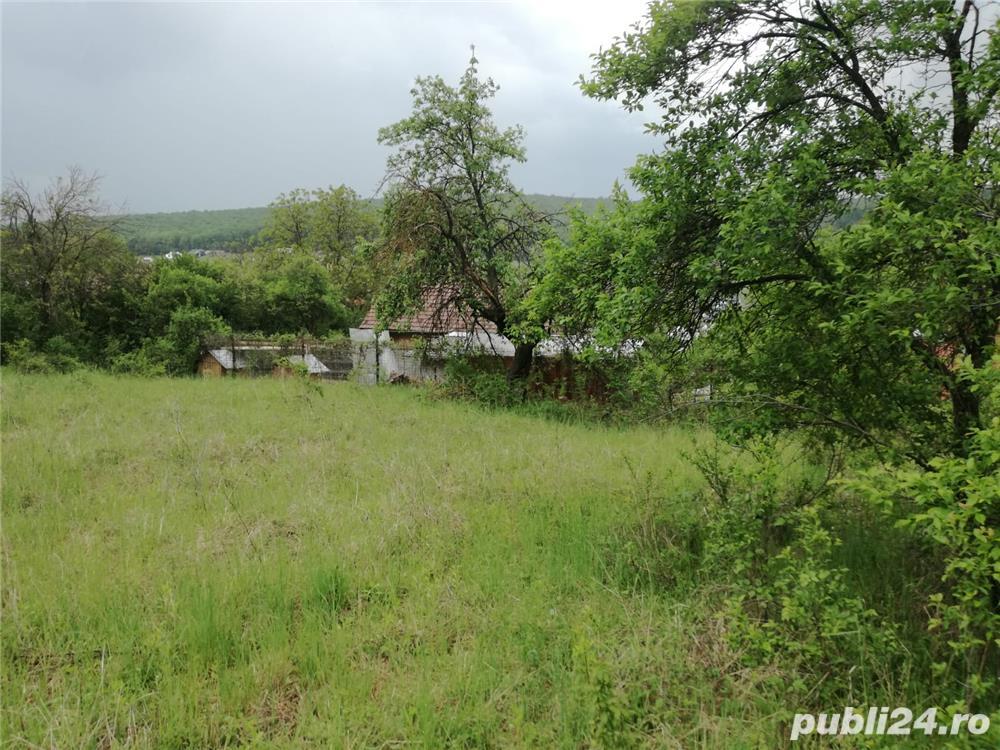 Vand 45 ari de teren intravilan la Viile Budiului - Tg.Mures