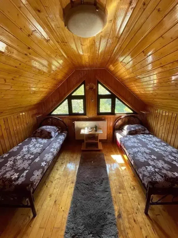 RATE Pensiune casa de vacanta munte Dambovicioara Peștera