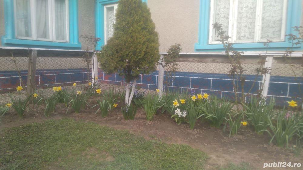 Se vinde casă cu teren în Constanța Palazu Mare