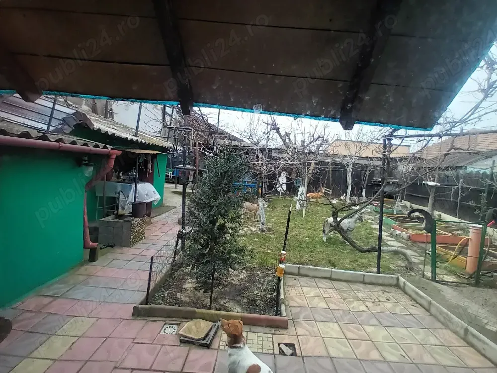 vănd casă Medeea