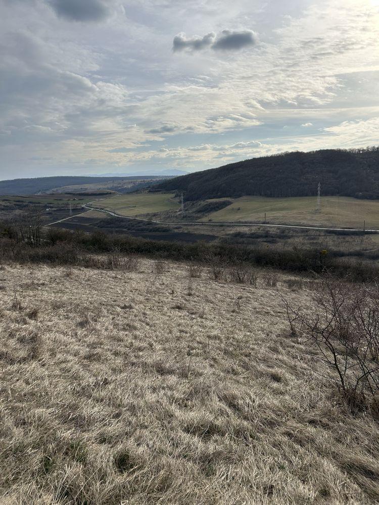 Teren extravila popesti 20€ metrul patrat