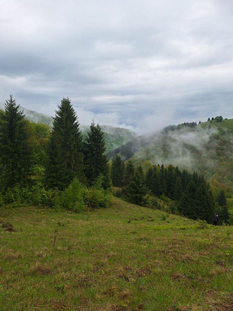 Vand teren muntii Apuseni