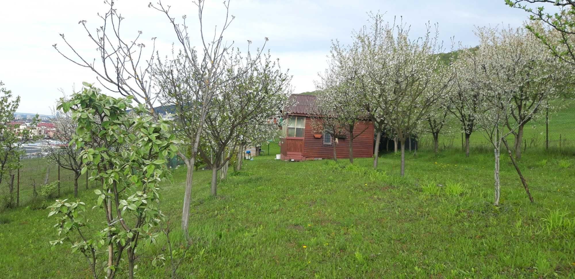 vand teren  intravilan  in centrul loc. Floresti - imagine 1