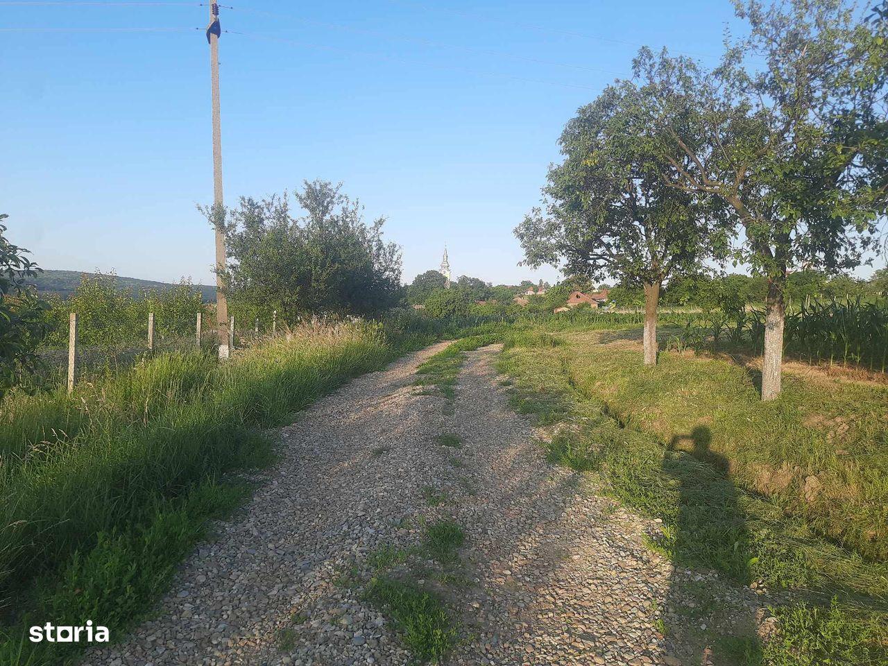 Teren 894 mp cu front stradal 18 m aproape de Oradea | Eladó beltelek