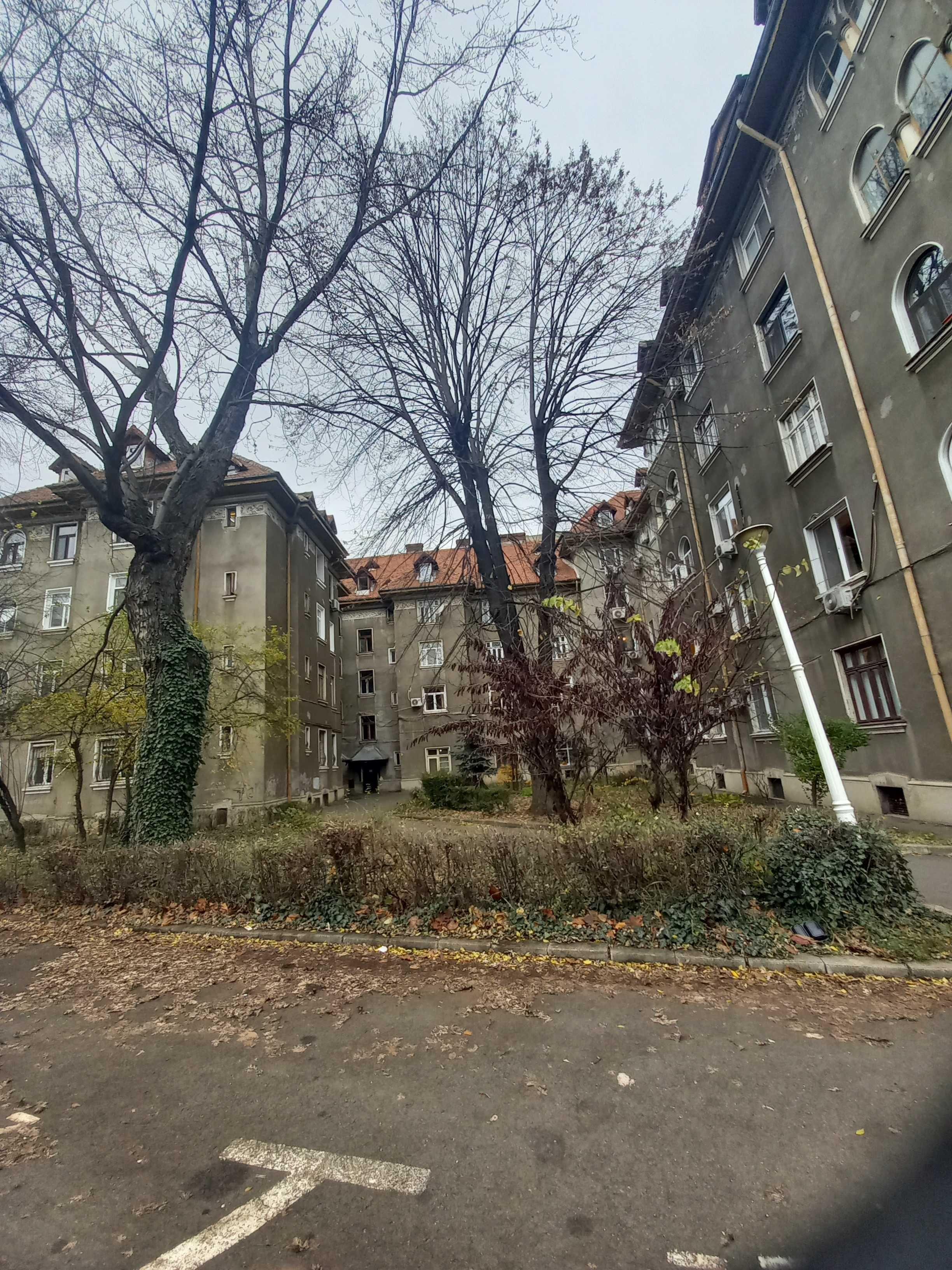 Iancului 4 sau 5 cam. str Caminului Gara de Est, Zona verde