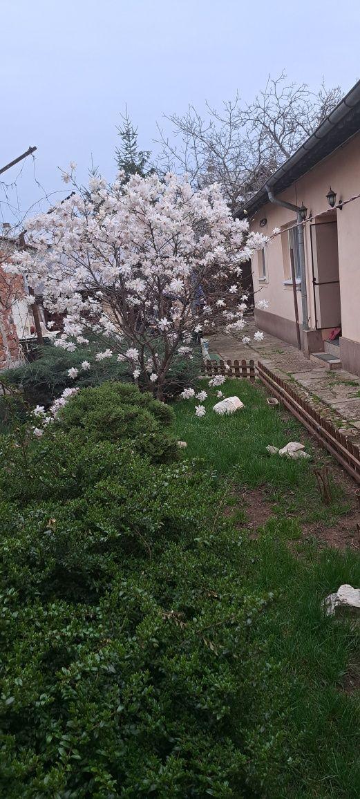 Casa de vanzare zona linistita