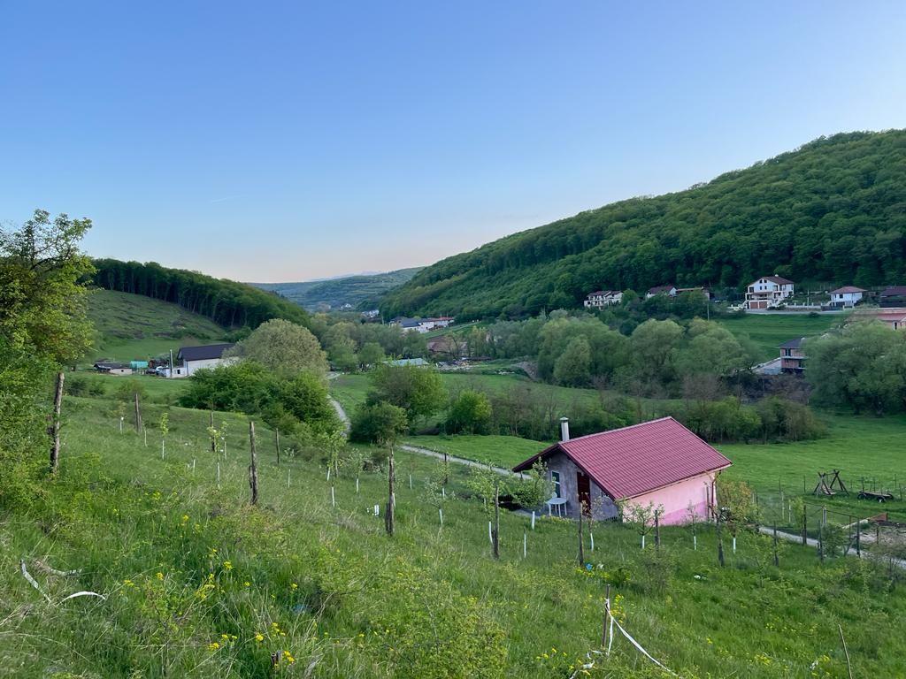 Inchiriez teren Floresti 500 mp str.Magnoliei cabane,comert,250e/luna