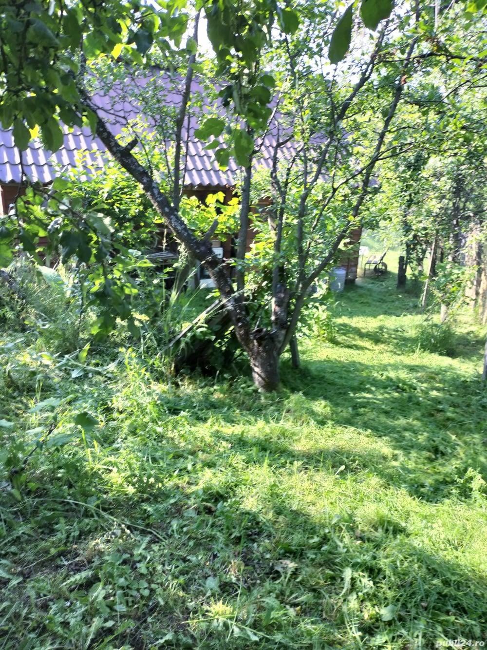 Teren pentru constructii  zona DEALURI  ORADEA