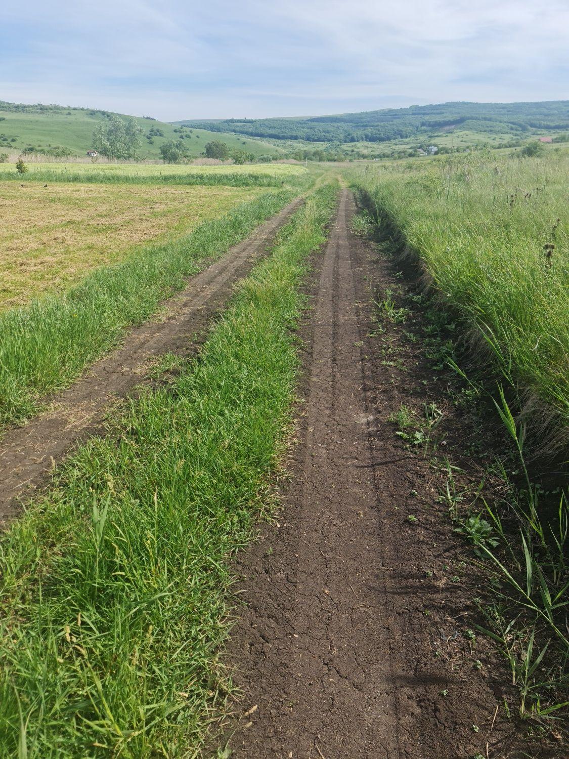 Teren intravilan Cluj Napoca
