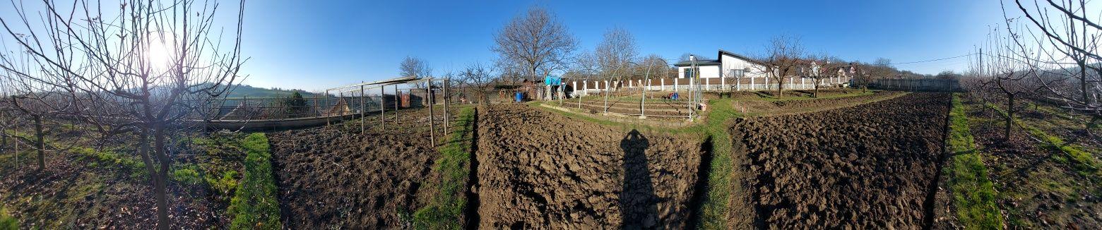 Teren intravilan 650mp