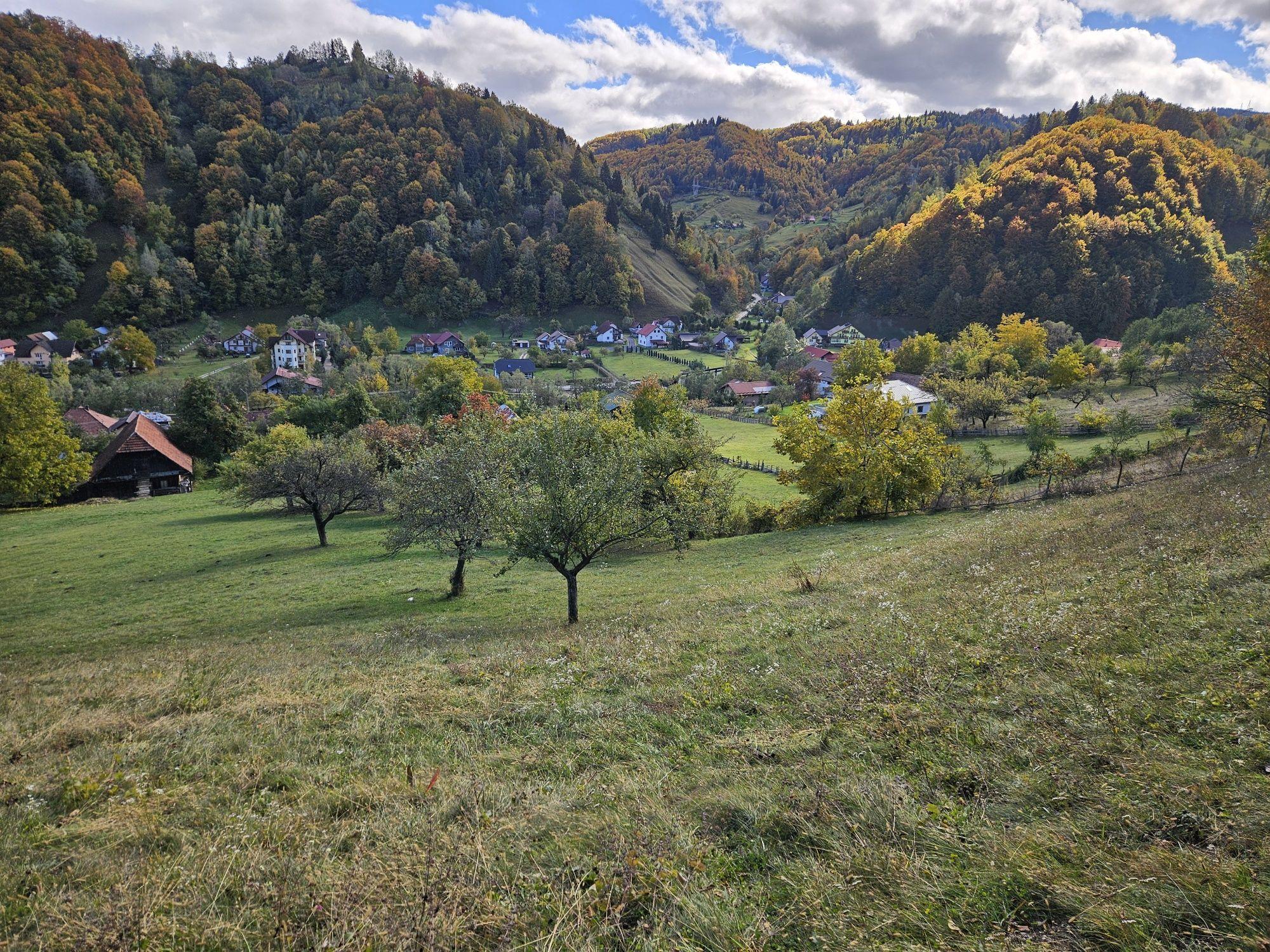 Vand teren moeciu ,cheile gradistei