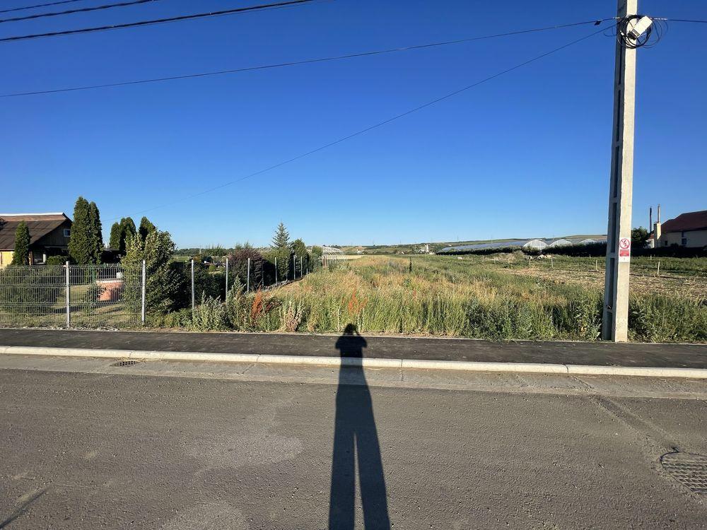 Teren 5700 mp pentru  constructii case in Jucu de Mijloc