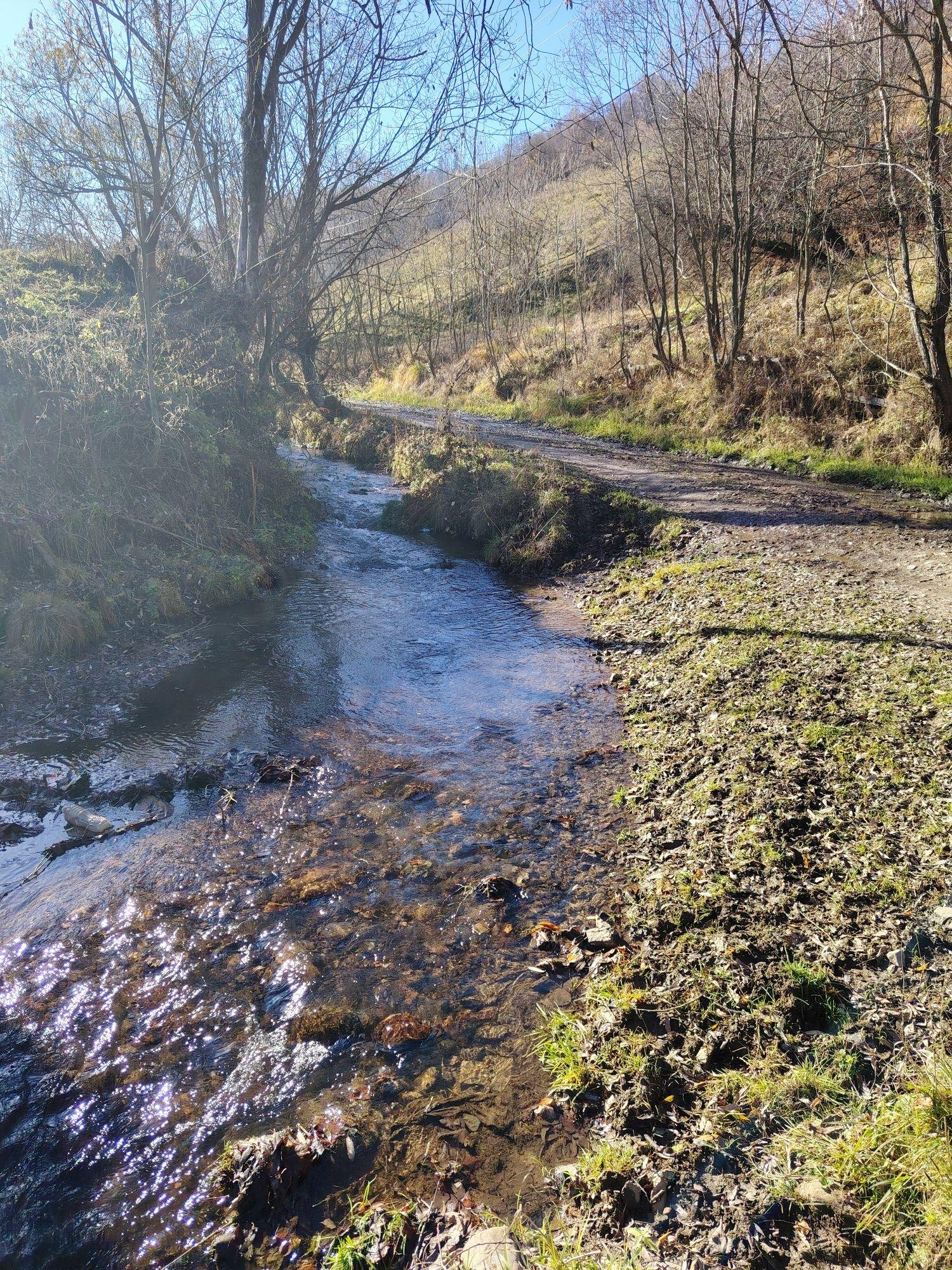 Teren cu Pârâu Muntele Băișorii - imagine 1