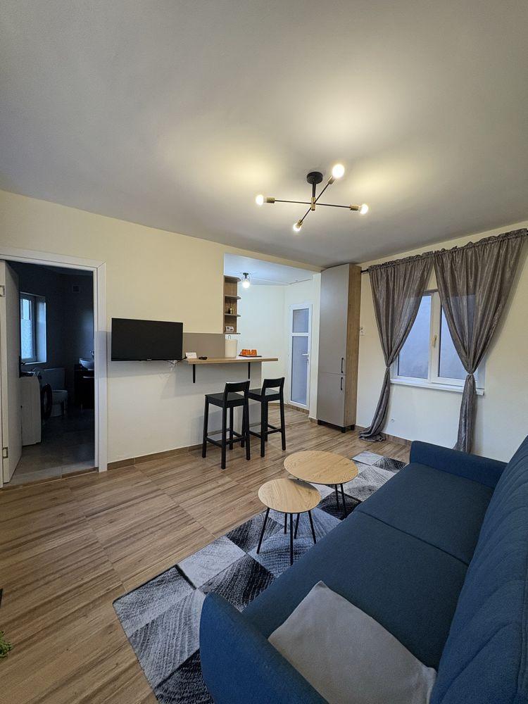 Casa 3 camere, singura in curte, zona Platinia, USAMV - imagine 1